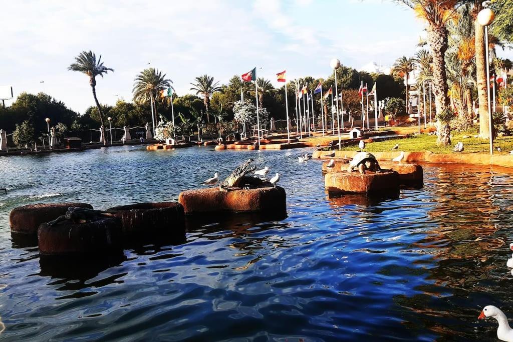 Adventure Harbour Lejlighed Torrevieja Eksteriør billede
